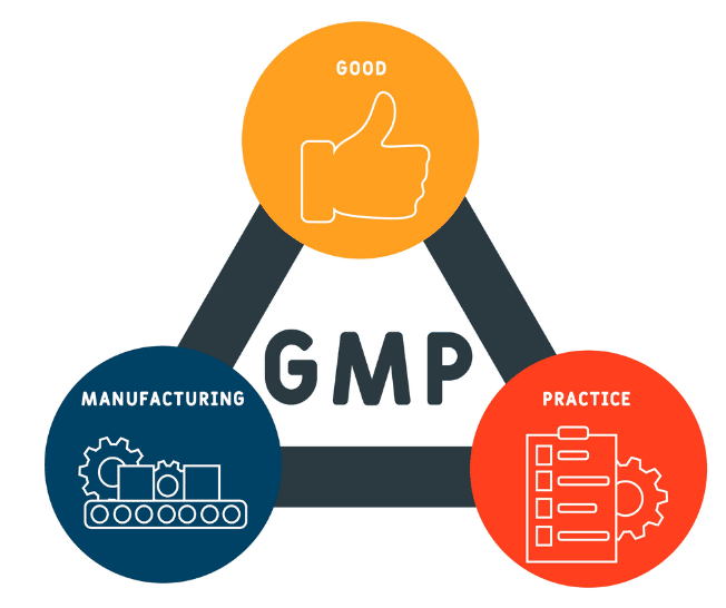 What is GMP